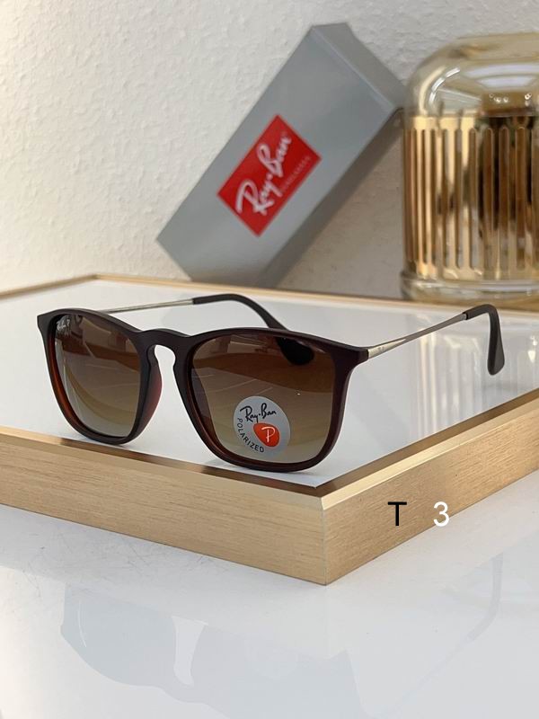 RayBan Sunglasses ID:20240804-329